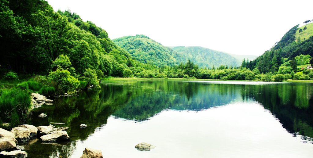 Fionn and the Salmon of Knowledge – B1-B2